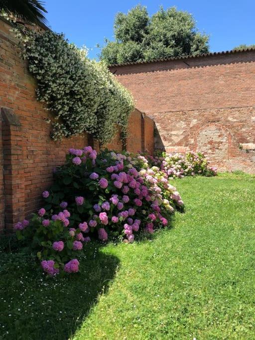 Palazzo Sabbioni Appartamento Lusso Due Camere Soggiorno Cucina Ferrara Dış mekan fotoğraf